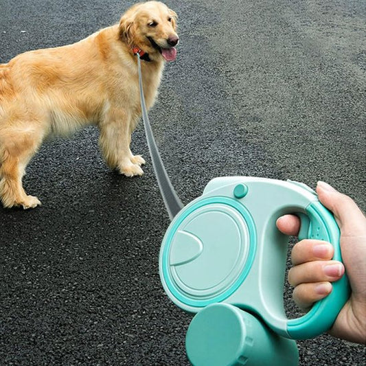 laisse pour chien rétractable vert marche