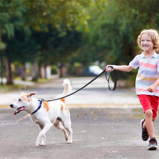 laisse pour chien repercutt rue enfant
