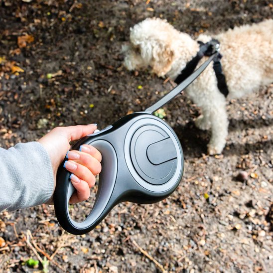 laisse pour chien retractable Premium gris mains terre battue