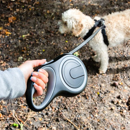 laisse pour chien retractable Premium gris mains terre battue