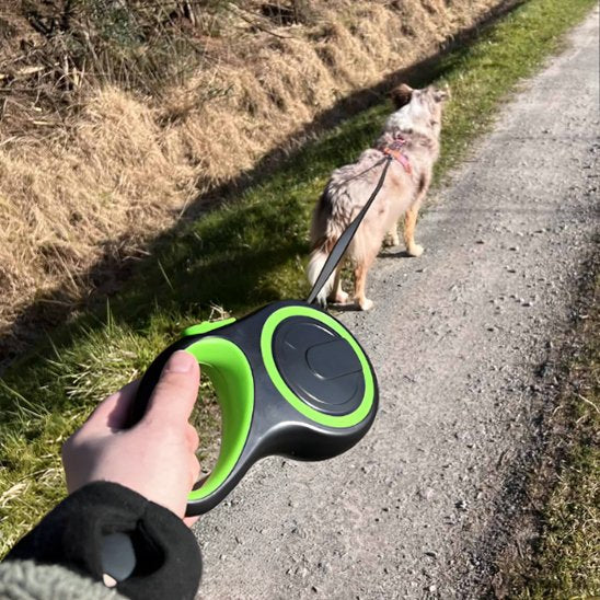 laisse pour chien retractable Premium vert mains chemin
