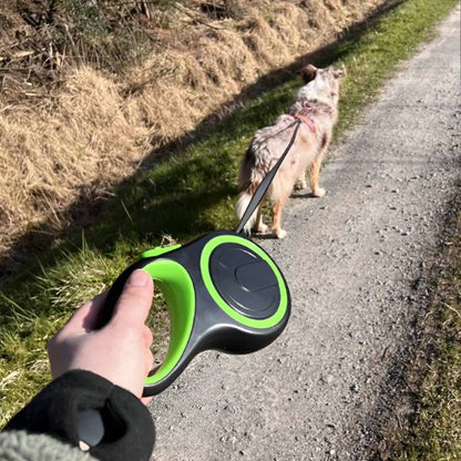 laisse pour chien retractable Premium vert mains chemin