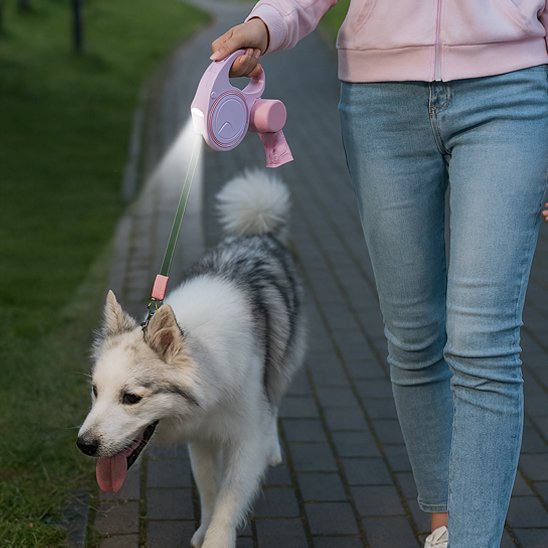 laisse pour chien retractable rose promenade maitre
