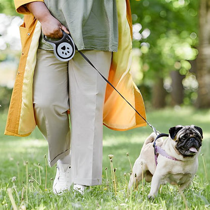 laisse pour chien retractble iberty marche maitre noir