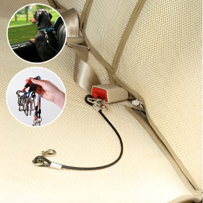 laisse pour chien routelha siege auto