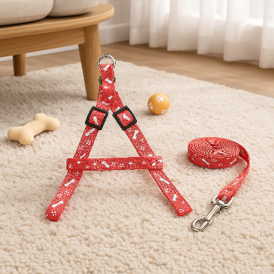 laisses pour chiens rouge dans un salon jouet