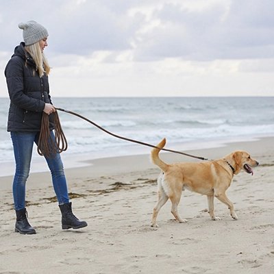 Longe 10m pour Chien marron à côté la plage 