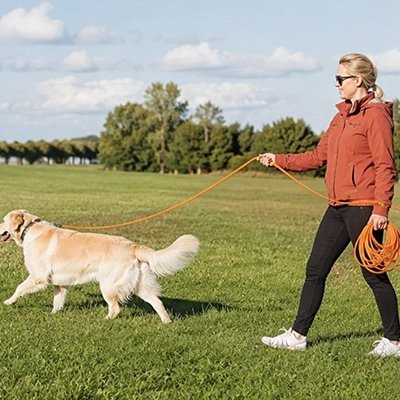 Longe 10m pour Chien orange sur un terrain 