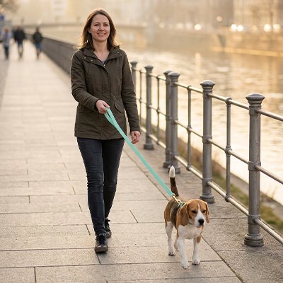 Longe 10m pour chien robuste et confortable maitre se promène avec son petit chien au bord de leau