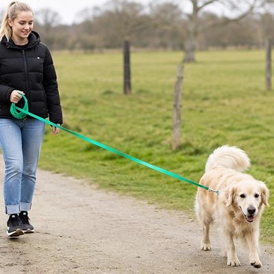 Longe 10m pour Chien vert 
