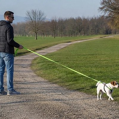 Longe 1om pour Chien vert clair petit chien