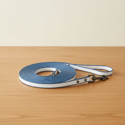 longe chien blanc table bois