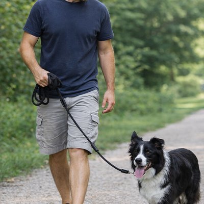 longe chien robuste et confortable noir chien prend des marches avec son  maitre