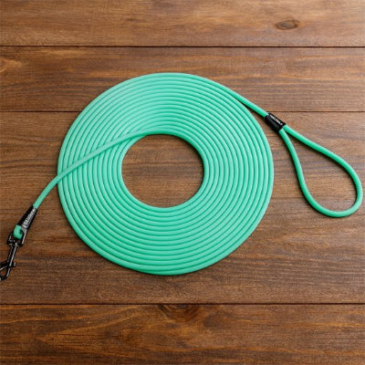 longe pour chien bleu planche 