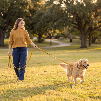 longe pour chien liberté en balade parc