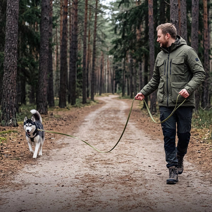 longe pour chien liberté en balade