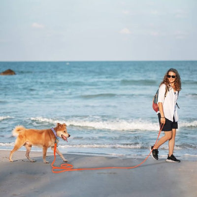 longe pour chien rouge plage maitre lunette sac