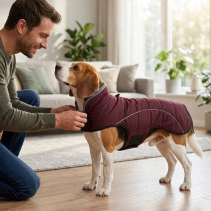 Manteau Chien maître attache 