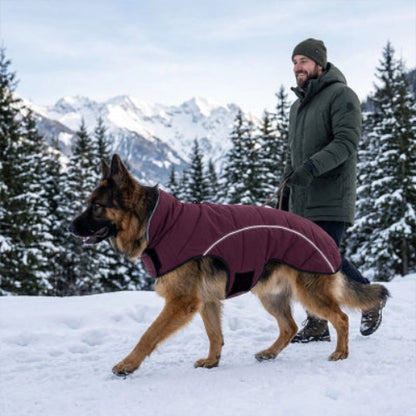 Manteau Chien maître promène son chien en hiver