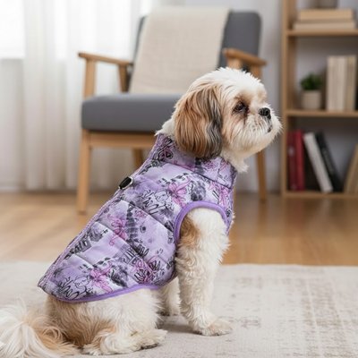 Manteau Chien mauve assis sur un tapis pas loin fenetre