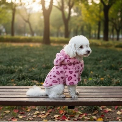 Manteau Chien rose bien sur un passerelle en bois
