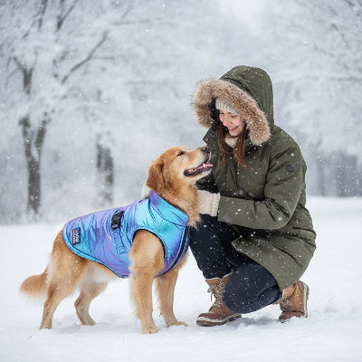 manteau chien tres confortable au froid avec son maitre