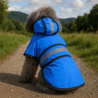Manteau  imperméable pour chien assis sur une route bleu