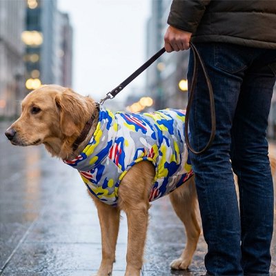 Manteau pas cher pour chien Camouflage chien dans la rue maitre 