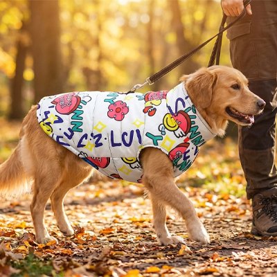 Manteau pas cher pour chien chaud et durable blanc
