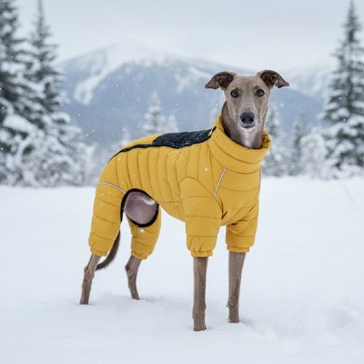 Manteau pas cher pour Chien chaud  et irrésistible jaune 