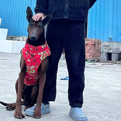 manteau pas cher pour chien hiverprotec rouge maitre
