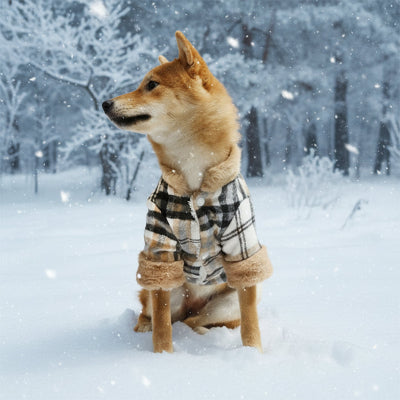 Manteau pour chien  assis bien au confort