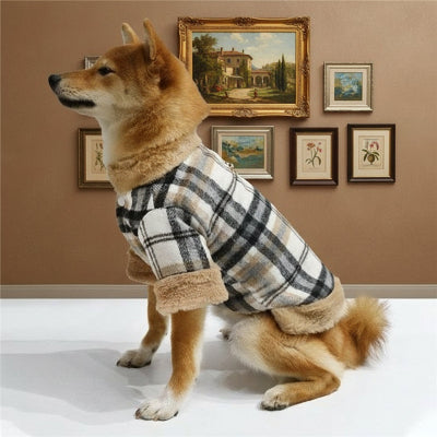 Manteau pour chien marron au chaud tableau
