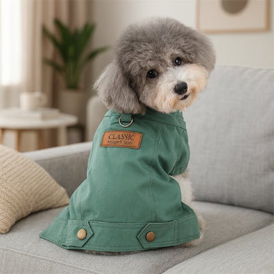 Manteau pour petit chien assis sur un sofa