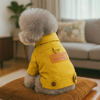 Manteau pour petit chien jaune assis salon