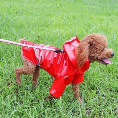 Manteau pour petit Chien rouge promene bien en laisse