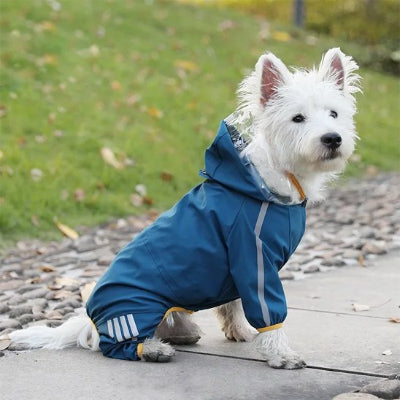 manteau raflaichissant pour chien bleu assis confortablement