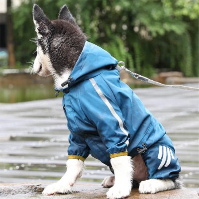 Manteau  raflaichissant pour chien bleu assis l eau
