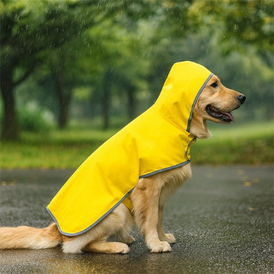 Manteau raflaichissant pour chien jaune assis sous la pluie tombe