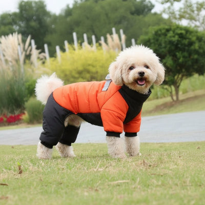 manteaux pour chien orange bleu au chaud nature