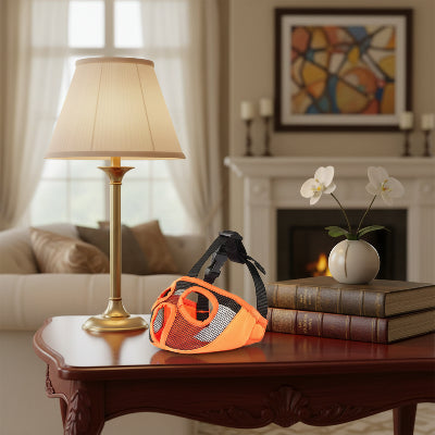 muselière bouledogue français ajustement parfait orange table salon