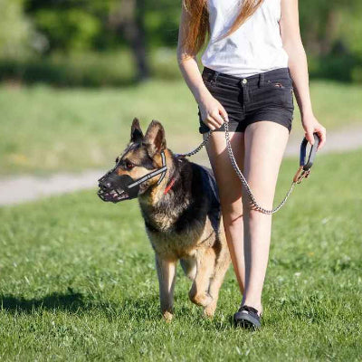 museliere a la bouche marche avec son maitre