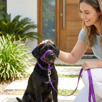 museliere berge australien respirante doux securitaire violet maitre devant maison