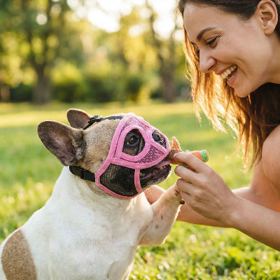 museliere bouledogue ajustable et doux chien au parc avec son maitre