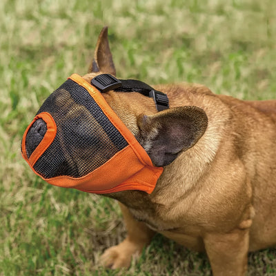 muselière bouledogue français doux et ajustable
