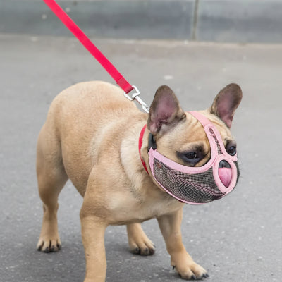 muselière bouledogue francais force en confort rose