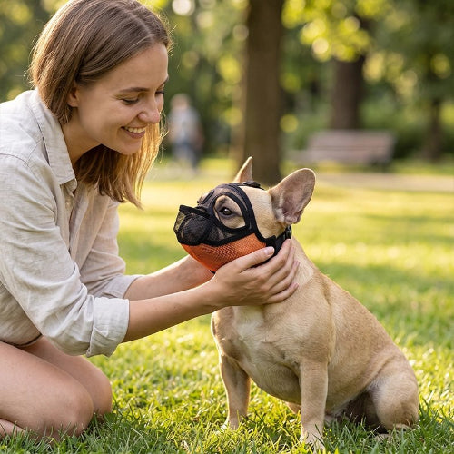 Muselière bouledogue francais maître sourit main au visage du chien
