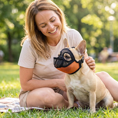 Muselière bouledogue Francais​ orange maître et chien au parc