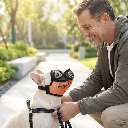 muselière bouledogue francais orange  maître sourit chien assis

