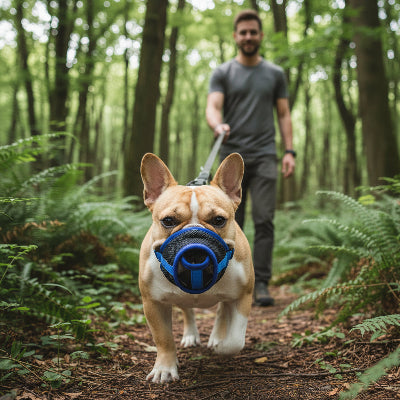muselière bouledogue francais respirante durable bleu dans la foret maitre 